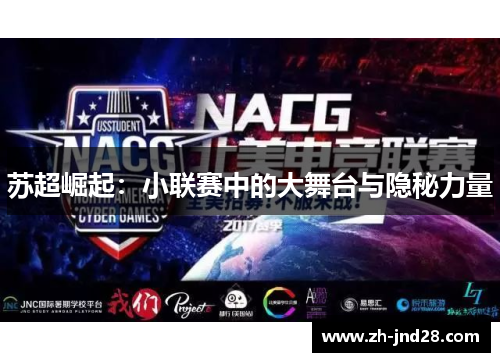 苏超崛起：小联赛中的大舞台与隐秘力量